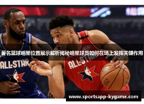 著名篮球明星位置展示解析揭秘明星球员如何在场上发挥关键作用